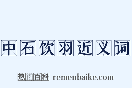 中石饮羽近义词是什么意思的图片
